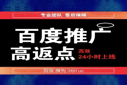 百度竞价广告与自然搜索排名的结合策略案例